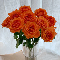 京东鲜花 玫瑰20枝送10枝共30枝色鲜花花束鲜切花源头直发