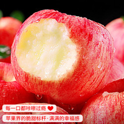 红富士 山东红富士烟台苹果 净重4.5-5斤