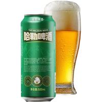 哈勒 啤酒  500ml×1瓶 包装 500ml