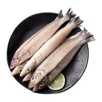 遇上鲜 舟山沙丁鱼 海鲜 冷冻海捕沙尖鱼沙钻鱼 净重1440g 源头直发 【沙丁鱼】3袋*480g