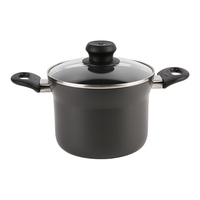 双立人汤锅不粘深烧锅煲汤炖肉锅煮汤锅炖锅煮粥煮面锅烹饪锅具 深烧锅 20cm