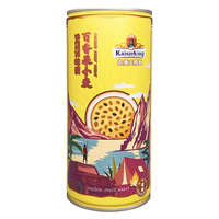 果味精酿 小麦白啤酒  听装 500ml