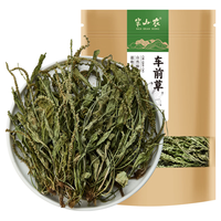 半山农车前草500g 新鲜中药材原料 车轮菜牛舌草可搭土茯苓玉米须泡水喝
