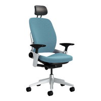 STEELCASE世楷 Leap 工学电脑椅商务办公学习座椅升降椅 天空蓝头枕款 天空蓝+头枕