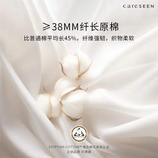 康尔馨 Canasin埃及棉高级感四件套床笠款 100支纯棉床上用品 珐琅灰 1.5米床 【埃及棉A类一等品】珐琅灰 100支