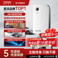 wattsaving 能效电气 20kW 30kW 40kW 直流充电桩 快充适配特斯拉问界小鹏蔚来极氪红旗EQM5小米su7享界 HQ30S