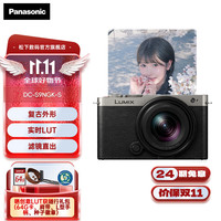 松下 Panasonic S9 +18-40mm 全画幅微单/单电/无反数码相机 L卡口  S9N丨S9+18-40mm套机