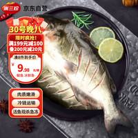 巢三珍 斑点叉尾鮰鱼400g 生鲜食材 鱼类原料