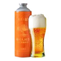 艺术精酿 中式精酿啤酒 包装,罐装 1x6x1L 1L