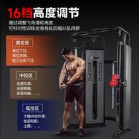 FANATICS 疯拿铁 小飞鸟综合训练器龙门架  FR-900P