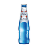  ERGOUPUB 精酿 果味啤酒  1x24x250ml 包装 250ml