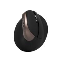 DeLUX 多彩 M618mini 2.4G蓝牙 双模无线鼠标 2400DPI RGB 雅致黑