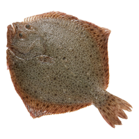 卖鱼七郎多宝鱼新鲜海捕鲜活冷冻比目鱼八宝鱼生鲜水产鱼类 400g-500g*3条