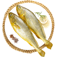 SAN DU GANG 三都港 速冻黄花鱼 2条 700g