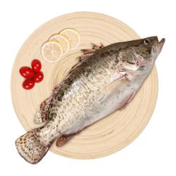 仙泉湖 三去桂花鱼400g/条净膛冷冻鳜鱼无细刺海鲜水产生鲜食材