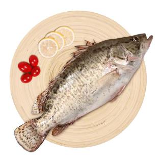 仙泉湖 三去桂花鱼400g/条净膛冷冻鳜鱼无细刺海鲜水产生鲜食材