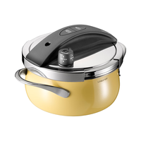 凌丰304不锈钢高压锅燃气压力锅小型家用防爆迷你压力煲电磁炉通用 3L乳酪黄【含汤锅盖】 20cm