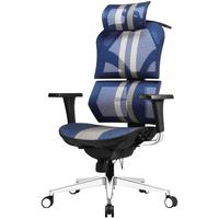 Want Home 享耀家 X5 人体工学电脑椅