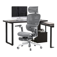 YANXUAN 网易严选 探索家Max 人体工学电脑椅 太空灰-有搁脚