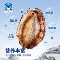 鸥米茄 海鲜世家 鸥米茄 海鲜世家 鸥米茄 冷冻鲍鱼 360g