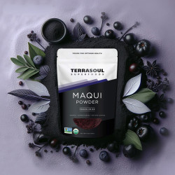 Terrasoul Superfoods 有机冻干马基莓粉 113g 1袋