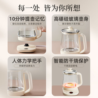 小熊养生壶家用多功能电热水壶办公室小型煮茶壶2025养生水壶