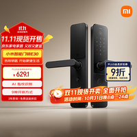 小米 Xiaomi XMZNMST10LK 智能门锁 E30