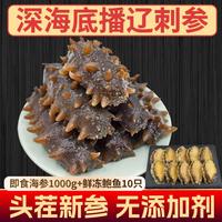 舜御堂 大连冷冻即食海参1000g/2000g深海捕捞底播辽刺参高营养