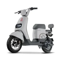 宝岛电动车 BODO 宝岛电动自行车N18锂电48V24Ah星恒锂电长续航80km豪华外观代步首选 物语灰 铅笔灰