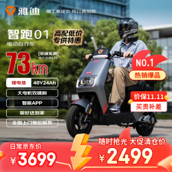 雅迪 智跑01 电动自行车 48V24Ah