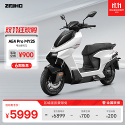 极核 ZEEHO AE4 Pro MY25 电动摩托车 到店选颜色