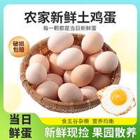 芮瑞   农家散养土鸡蛋12枚装单枚45克鲜鸡蛋新鲜现捡