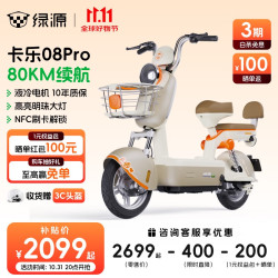 绿源 卡乐08PRO 新国标电动自行车FBQ5  48V24Ah锂电