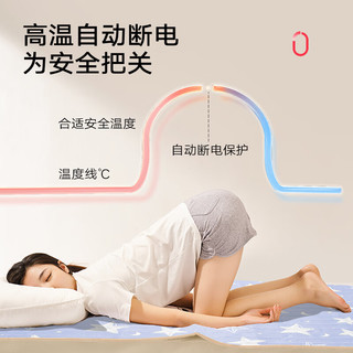 彩虹电热毯单人电褥子双人双控排潮调温学生宿舍小功率电暖毯 调温型单人简约 长1.5米宽0.7米