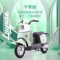 绿源 新国标电动自行车ZOF 成人通勤代步长续航电动车 到门店选颜色-理论续航70KM