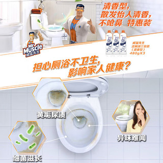威猛先生 Mr Muscle洁厕剂480g洁厕液洁厕灵厕所卫生间马桶除垢清洁去渍去异味 洁厕液（清香型）480g*5