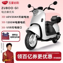 五星钻豹 电动摩托车60V成人外卖电动车代步电瓶车G7