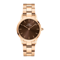 丹尼尔惠灵顿(DanielWellington)DW手表女 28MM钢带女士腕表简约时尚欧美表 幻彩琥珀棕 DW00100463
