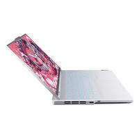 Lenovo/联想 240Hz超竞屏 电竞游戏笔记本电脑 无机械硬盘 2560*1600 intel i9 灰色 240Hz 32GB 1TB RTX