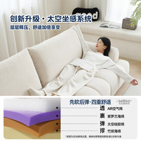 帕沙曼 2.72米多人位 猫抓布 布艺沙发 升级版1.03m宽