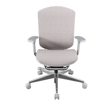 ERGOUP 有谱 E901K 人体工学椅