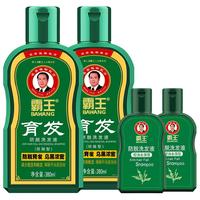 BAWANG 霸王 洗发液套装 (育发防脱380ml*2+防脱控油去屑型80ml*2)