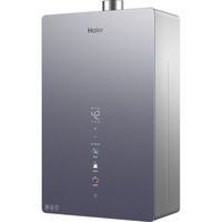 Haier 海尔 晶彩系列 JSQ30-16WN9S(12T)U1 零冷水燃气热水器 16L