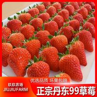 百亿补贴：玖玖农场 丹东99草莓红颜应季水果新鲜东港九九牛奶大草莓 0.5斤 单果15g 尝鲜装