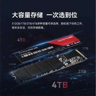 腾隐TP4000PRO/TQP4000 1TB m2固态硬盘1T 2T PS5 4T M.2SSD NVME