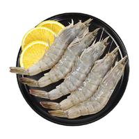 渔传播【活虾速冻】厄瓜多尔盐冻白虾冷冻海虾聚餐烧烤次日达