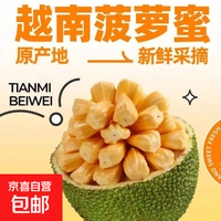 水果 越南菠萝蜜正宗进口鲜果香甜可口果王稀缺脆甜带皮出果肉40%左右 带皮切块果肉1.5斤-2斤