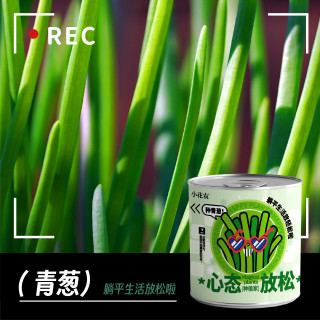办公室绿植小盆栽神奇植物室内迷你桌面儿童种植罐头情绪稳定盲盒
