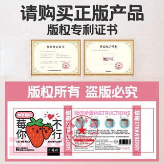 办公室绿植小盆栽神奇植物室内迷你桌面儿童种植罐头情绪稳定盲盒