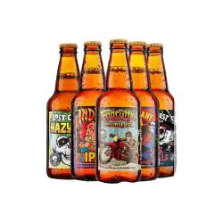 迷失海岸 迷雾快艇双倍IPA啤酒 355ml